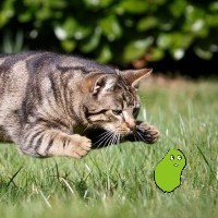 アイコン